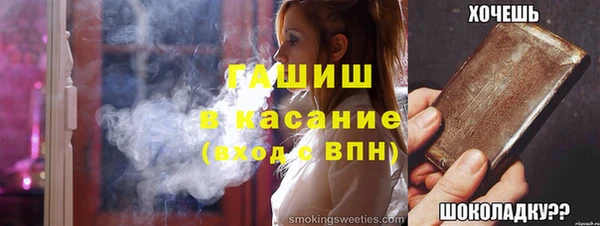 хмурый Кедровый
