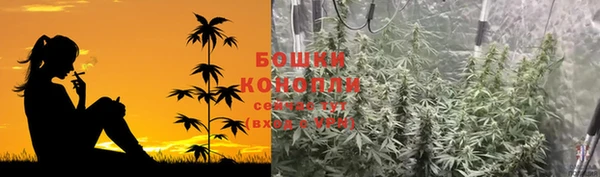 mdpv Фёдоровский