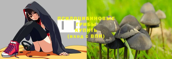 мдма Краснослободск